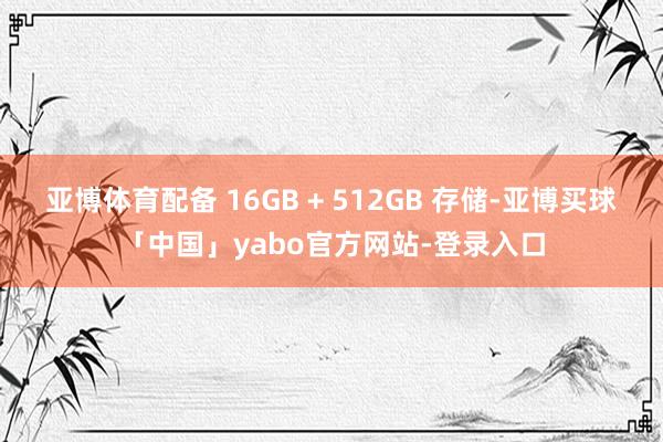 亚博体育配备 16GB + 512GB 存储-亚博买球「中国」yabo官方网站-登录入口