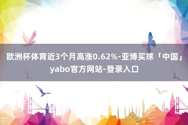 欧洲杯体育近3个月高涨0.62%-亚博买球「中国」yabo官方网站-登录入口