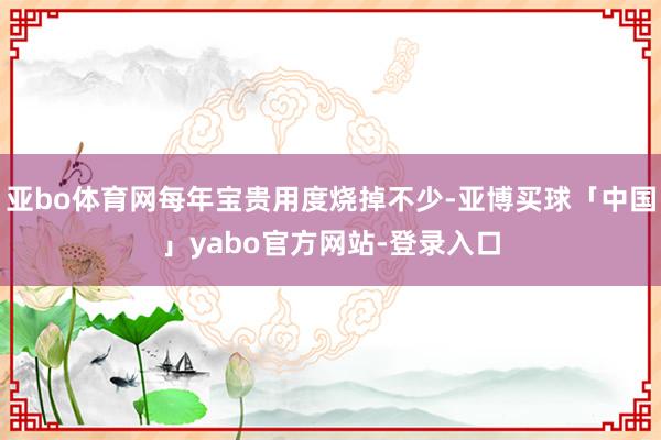 亚bo体育网每年宝贵用度烧掉不少-亚博买球「中国」yabo官方网站-登录入口