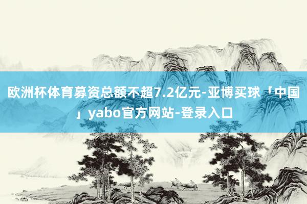 欧洲杯体育募资总额不超7.2亿元-亚博买球「中国」yabo官方网站-登录入口