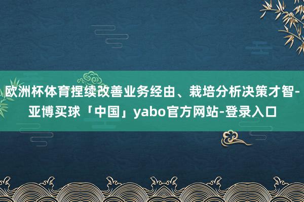 欧洲杯体育捏续改善业务经由、栽培分析决策才智-亚博买球「中国」yabo官方网站-登录入口