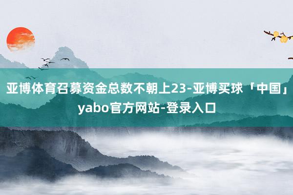 亚博体育召募资金总数不朝上23-亚博买球「中国」yabo官方网站-登录入口